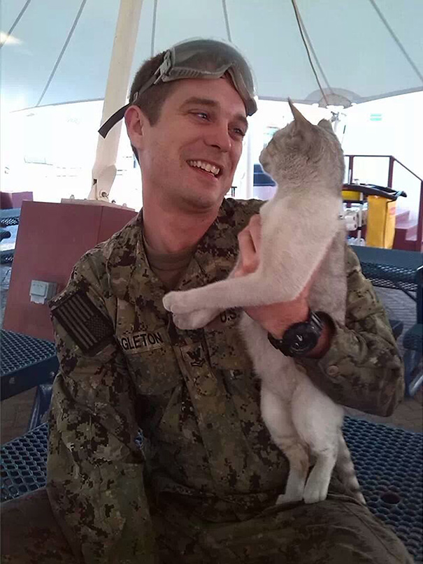 29 photos capturing touching moments of soldiers befriending cats