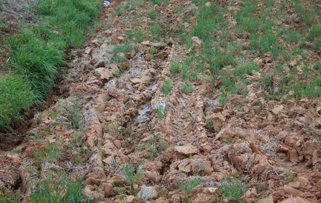 There Is A Cat In This Photo Can You Spot Him