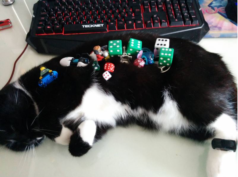 best toys for lazy cats