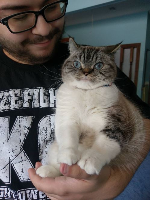 scuba the cat being held