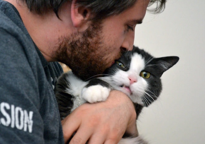 cat pictures