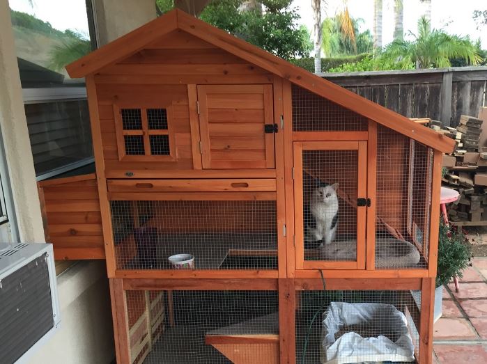 reddit catio