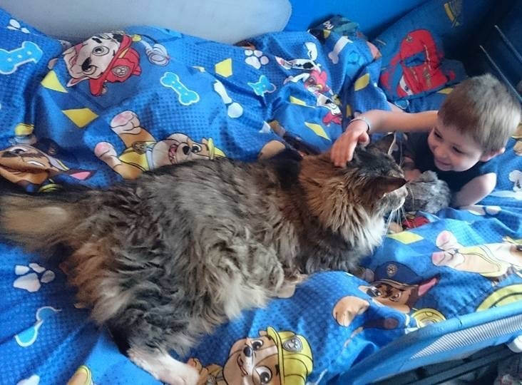 ludo growing with Cameron