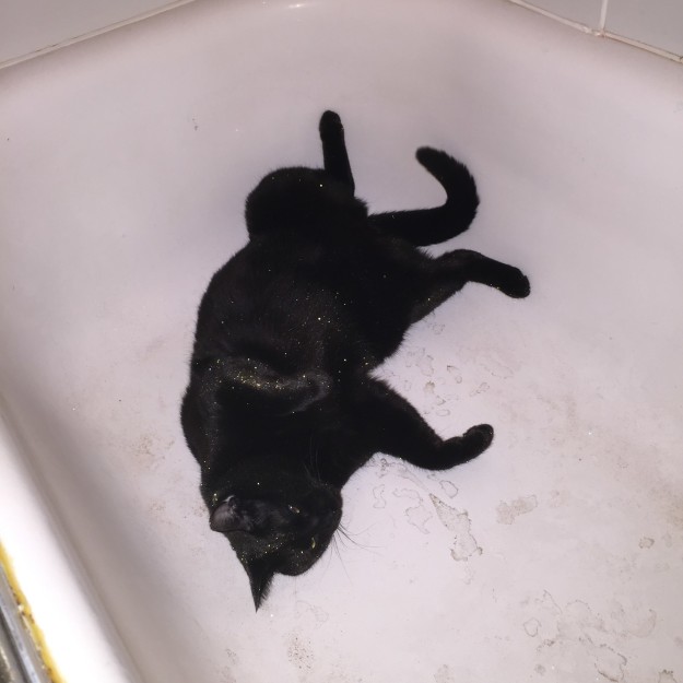 salem in the tub