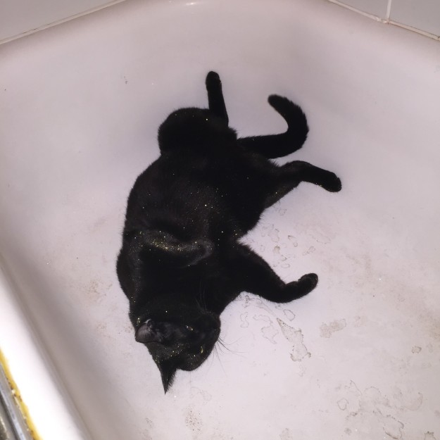 where can i buy a black bath bomb