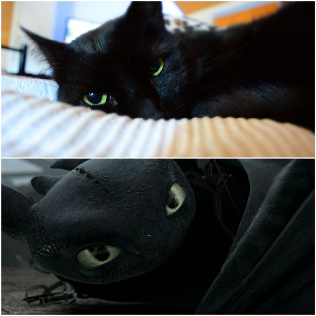 Who do i look like buzzfeed