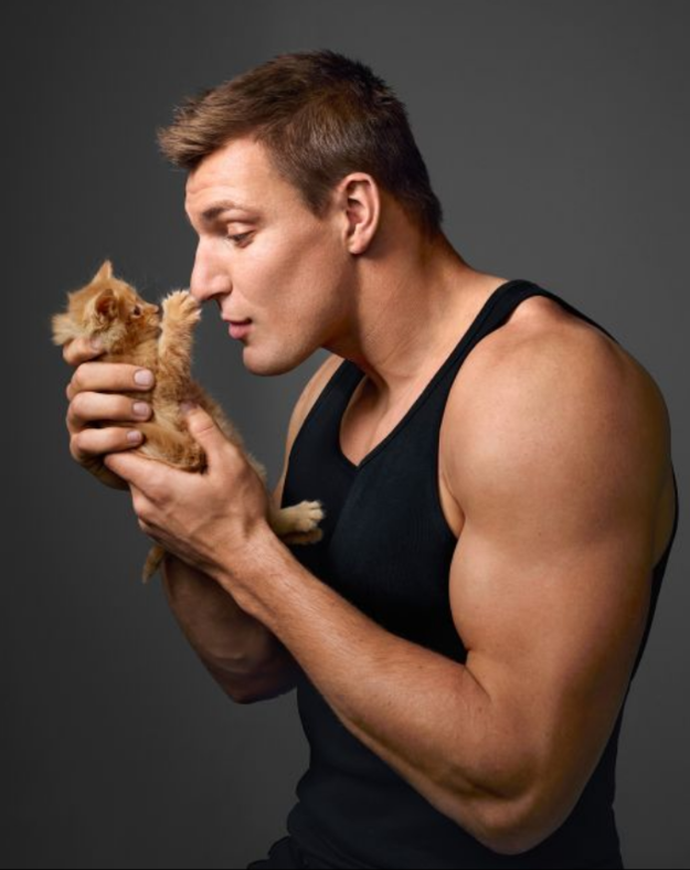 gronk holding a kitten