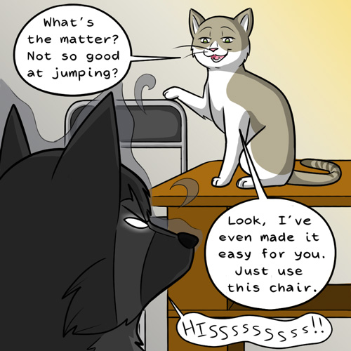 raccoon cat comic part 5
