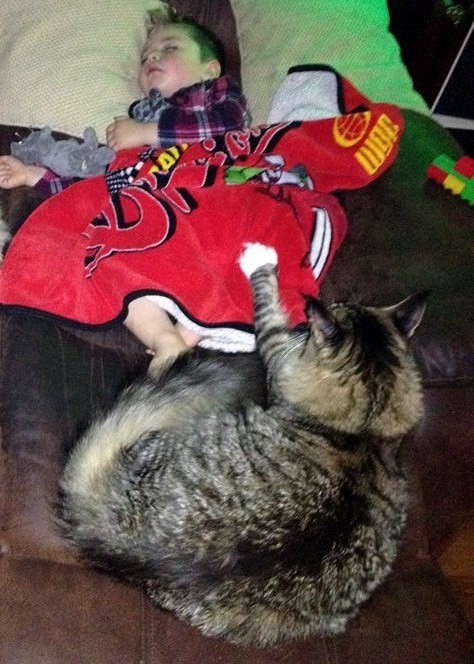 ludo snuggling with his sick brother