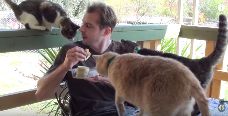 chris eating lunch with cats