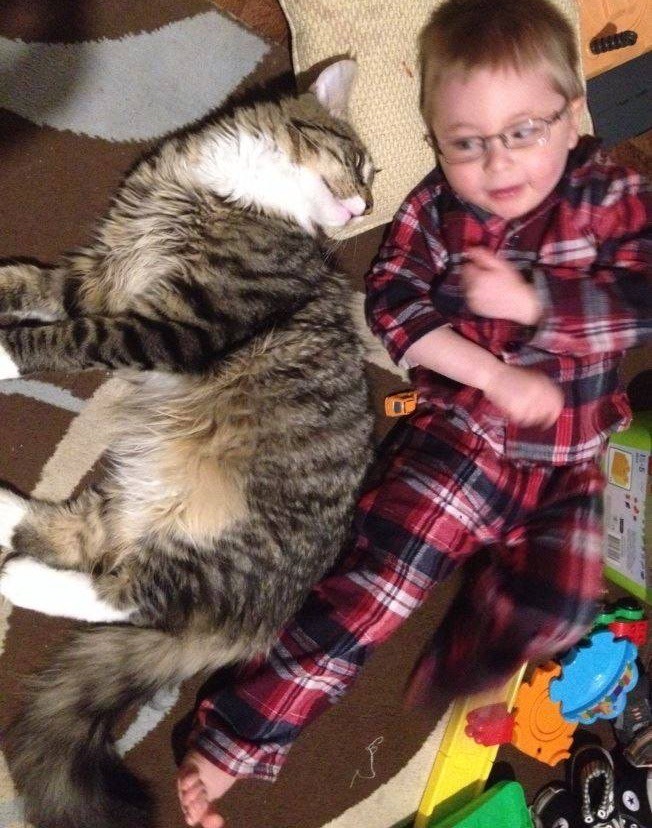 ludo with charlie