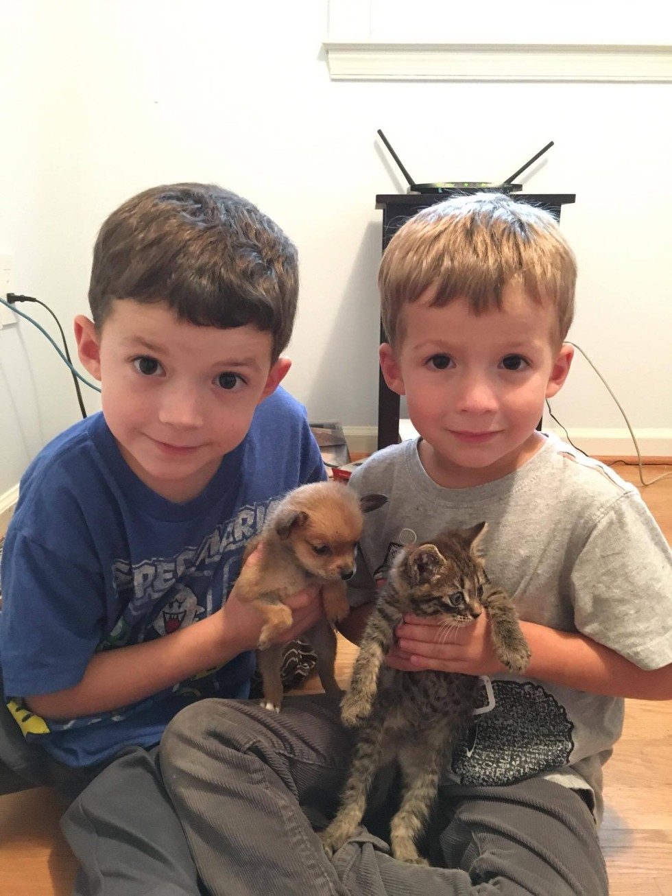 chicky and nugget with kids