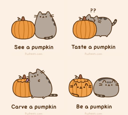 pusheen cat pumpkin guide
