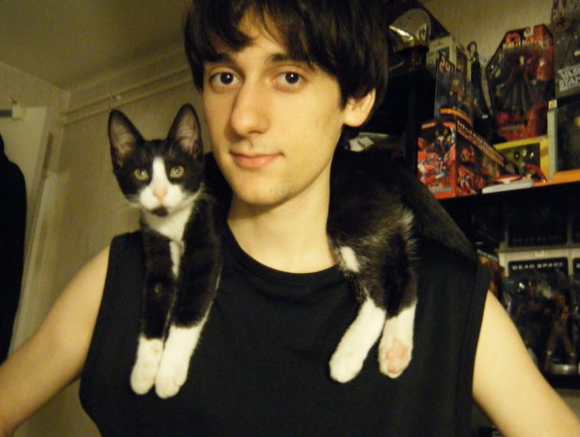 scarves with cats on