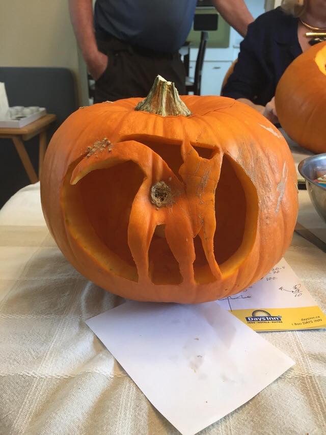 cat butt pumpkin