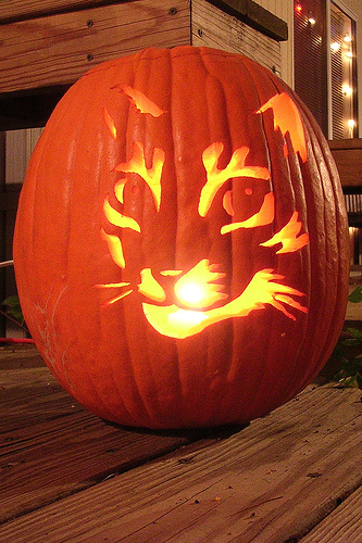 11 awesome cat pumpkin carving ideas!