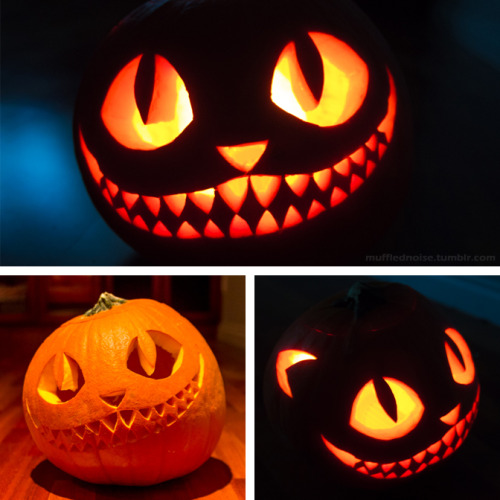 11 awesome cat pumpkin carving ideas!