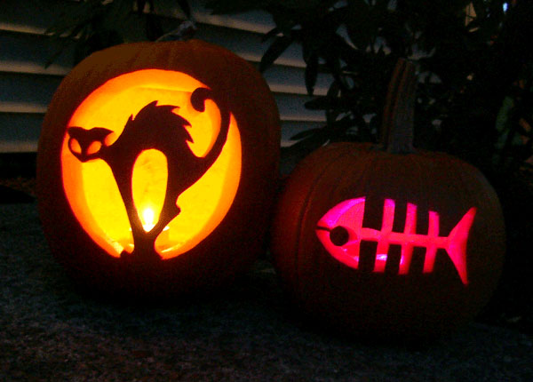 easy cat pumpkin carving easy cat pumpkin carving