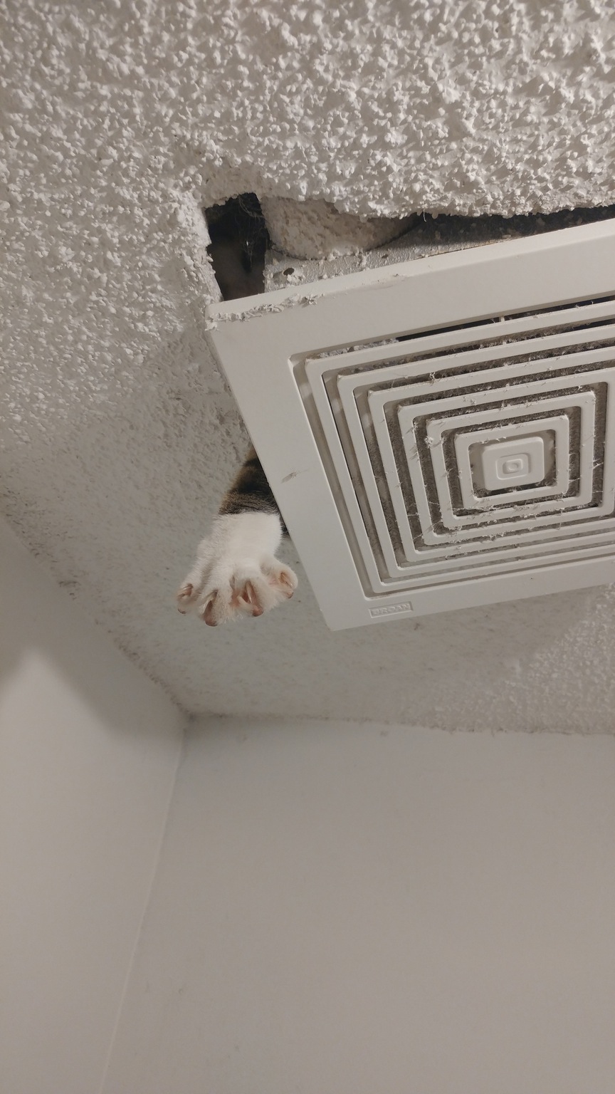 A Hurricane Blew A Hole In His Roof And When He Looked Up