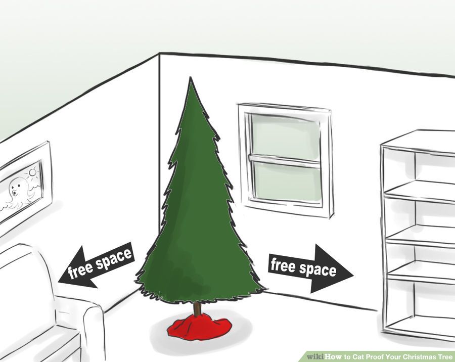 cat proof 3