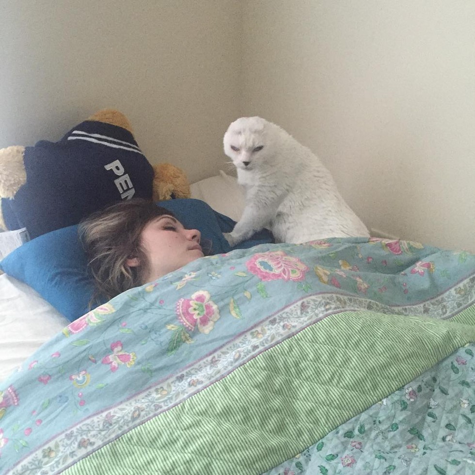 otitis guarding molly while she sleeps