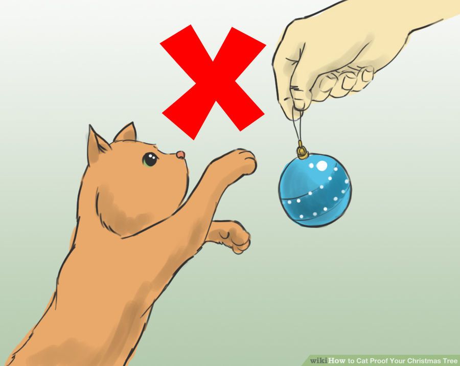 cat proof 5