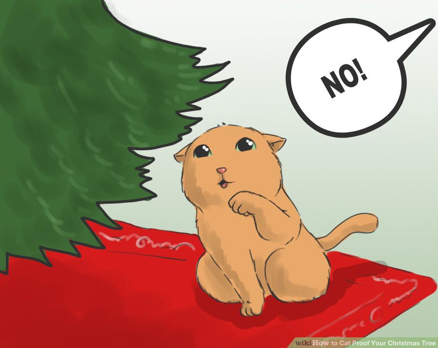 cat proof 4