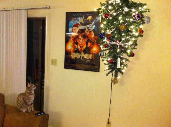 6 Cat Proof Christmas Trees To Try Out During The Holidays