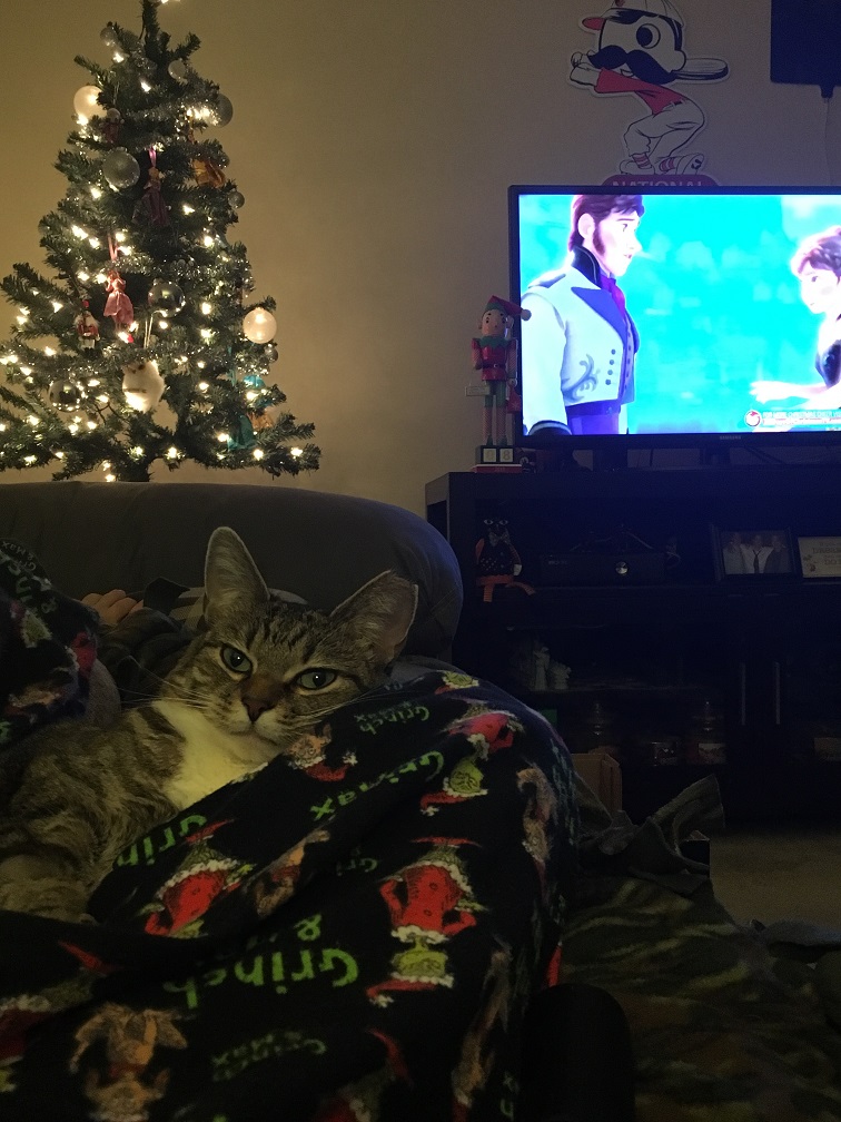 A cat's version of 'Twas the Night Before Christmas