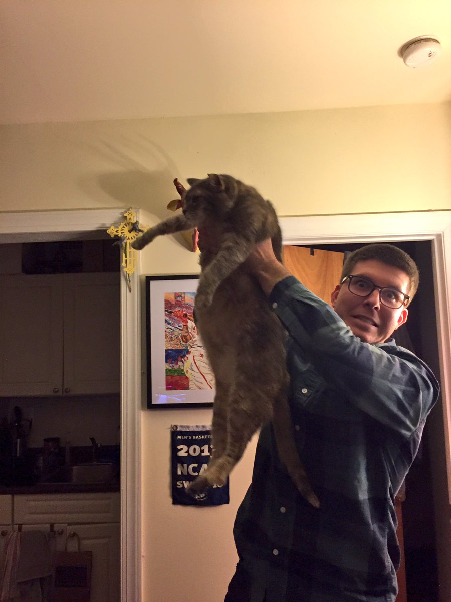 Sixers fans are raising cats to celebrate the team’s success... and it