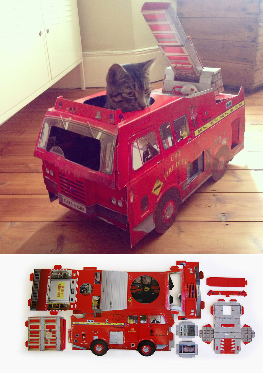 cat firetruck