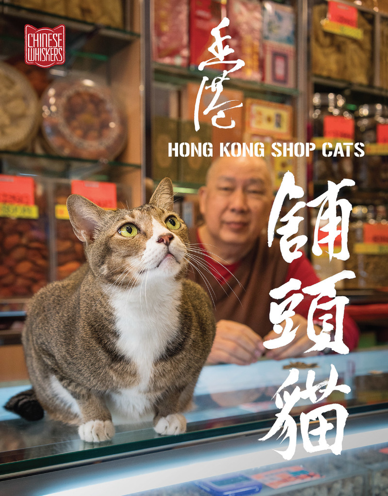 Wonderful pictures capture the secret lives of Hong Kong's shop cats