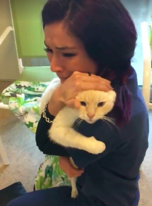 iris and cat cuddling