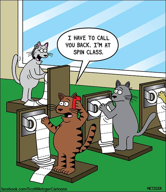 Image result for cat cartoons