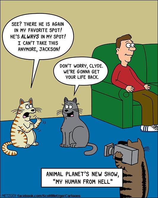 26 adorably funny cat cartoons that will get you through 