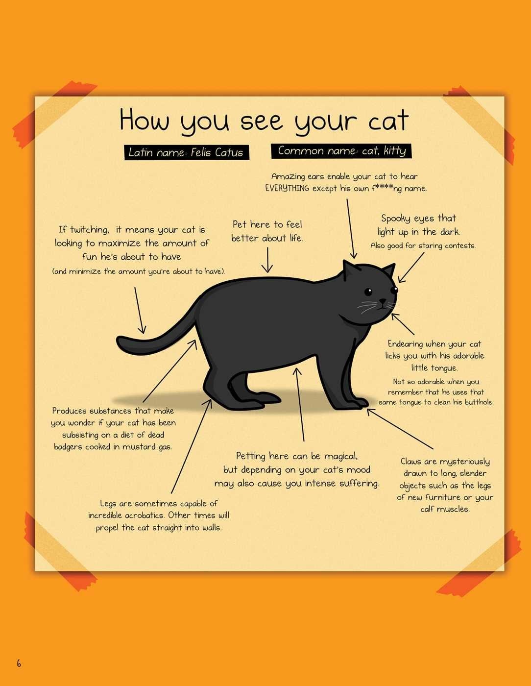 This cute little illustration purrfectly depicts how cats and humans