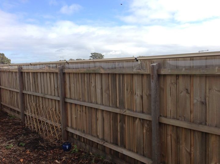 the oscillot cat fence