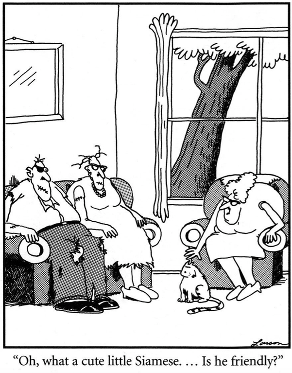 13 'The Far Side' comic strips featuring cats!