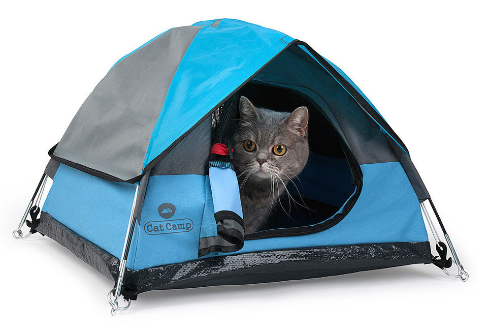cat camp tent