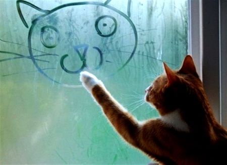 cat art window