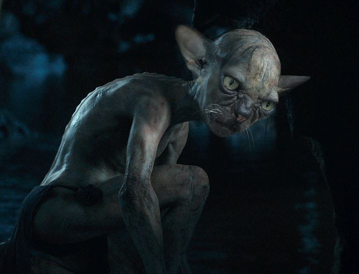 They adopted the "ugliest" cat at the shelter and they couldn’t be