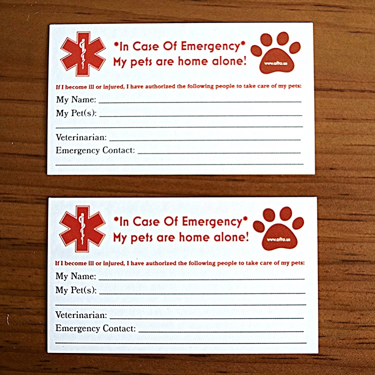 back of emergency pet cards