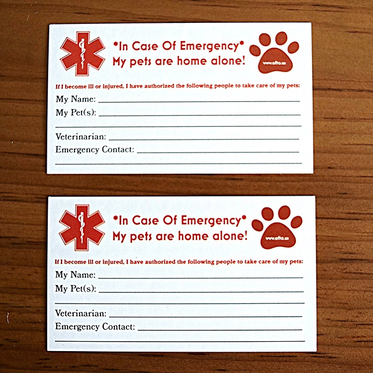 Every Pet Owner Should Have This In Case Of An Emergency