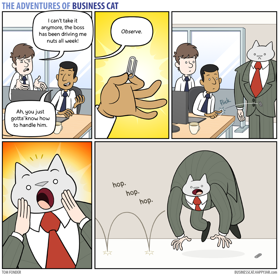 business cat distraction