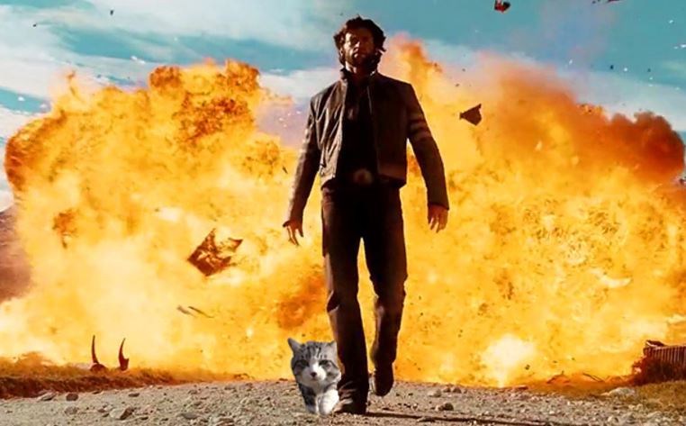 Cat walking away from explosion inspires another great Photoshop battle