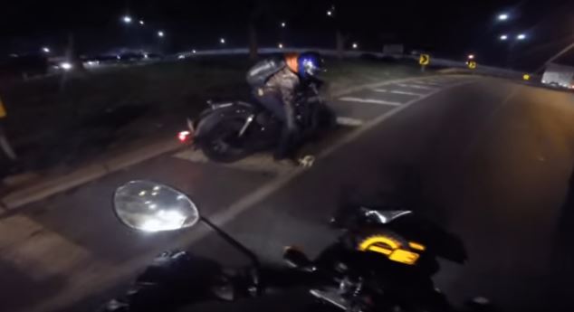 biker picks up kitten off busy highway
