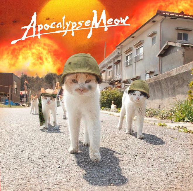 apocalypse meow cat photoshop battle