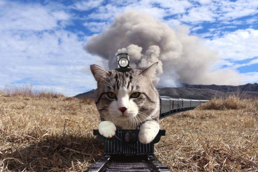 cat explosion photoshop 2