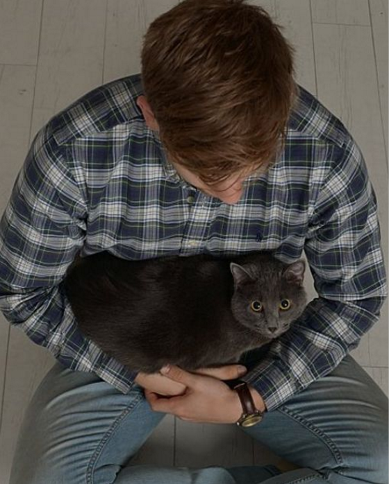 cat engagement photo shoot 10