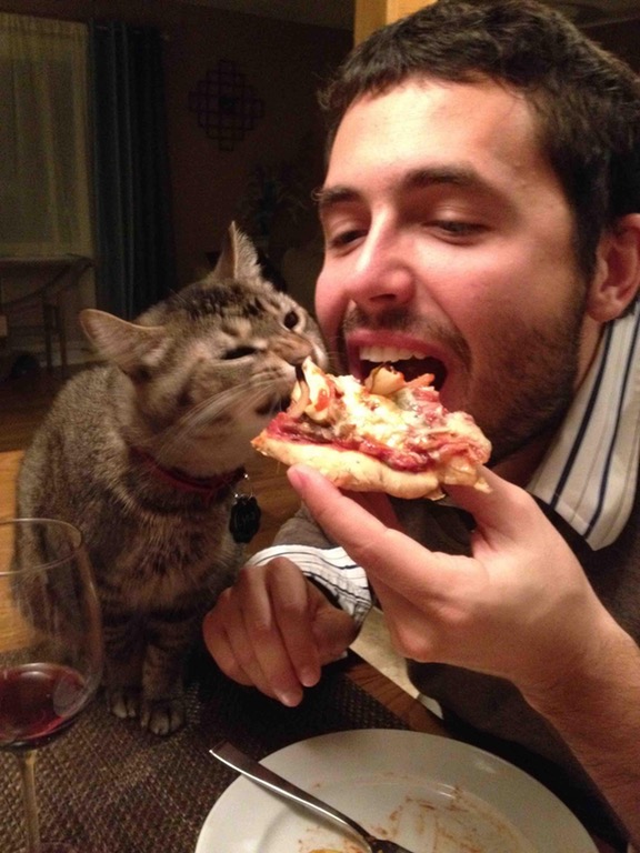 20 Cats Who Love Pizza More Than You Do